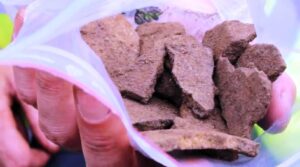 A USC estudará os 42 fragmentos de cerámica achados no Castro das Croas